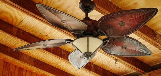 ceiling fan