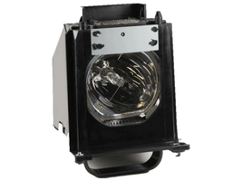 Generic 915P061010 Projector Lamp Assembly