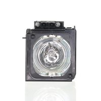 Generic BP9601795A for SAMSUNG Projector Lamp Assembly