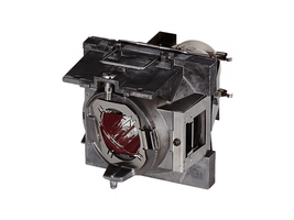 Generic RLC-108 Projector Lamp Assembly