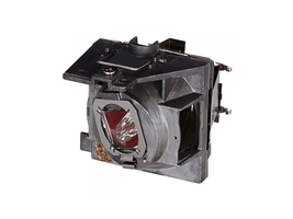 Generic RLC-109 Projector Lamp Assembly