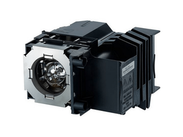 Generic RS-LP11 Projector Lamp Assembly