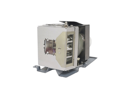 Generic XX5050002200 Projector Lamp Assembly