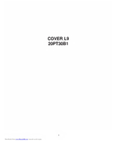 Philips 20PT30B1 (40 pages) TV Operating Manual