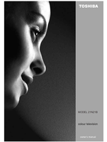 Toshiba 21N21B (30 pages) TV Operating Manual