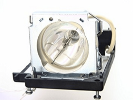 NEC LT80-LAMP Projector Lamp Assembly