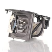 Optoma BLFU220A Projector Lamp Assembly