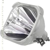 Philips 312243871310 Projector Bulb