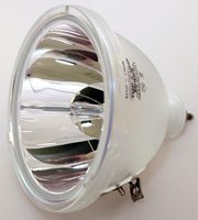 Philips 9281 378 05390 Projector Bulb