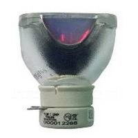 Philips 9281 657 05390 Projector Bulb