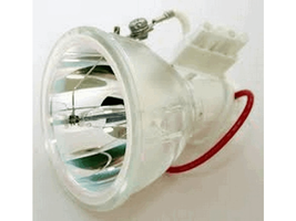 Specialty Equipment SHP24 Bulb Projector Lamp Assembly